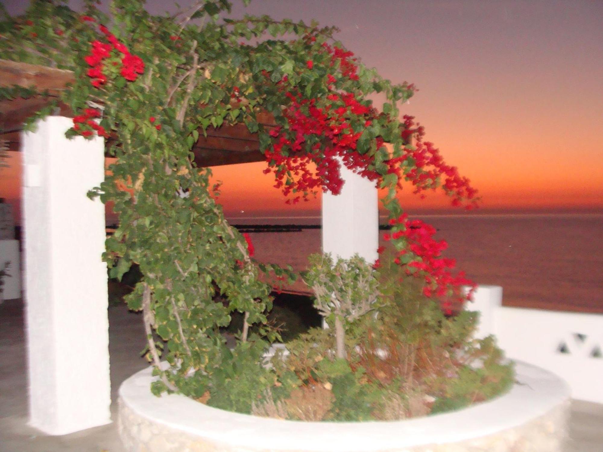 Παραθιν Αλοσ 2 Apartment Skyros Exterior photo
